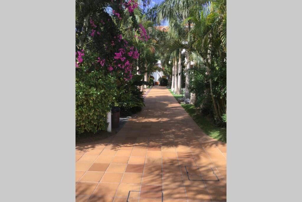 דירות פלאייה דה לאס אמריקס Apartamento Frente Al Mar! מראה חיצוני תמונה