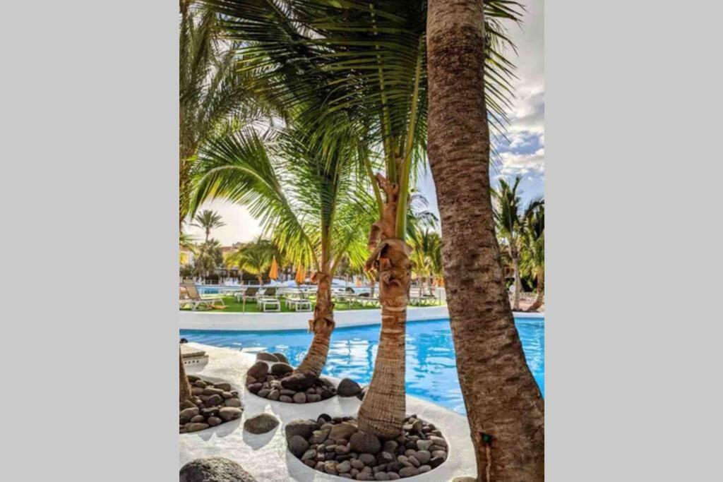 דירות פלאייה דה לאס אמריקס Apartamento Frente Al Mar! מראה חיצוני תמונה